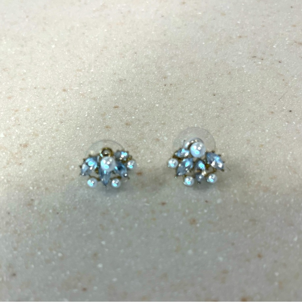 Embellished earrings